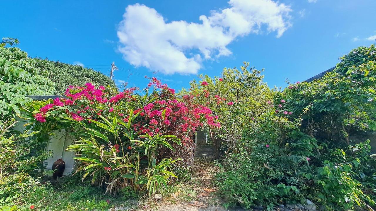 Holiday home Aroha: Beachfront Retreat Near Yabiji Coral Reef *